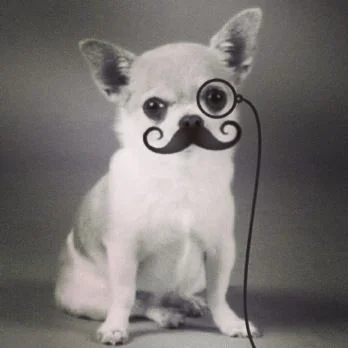 cantbelieve's profile picture