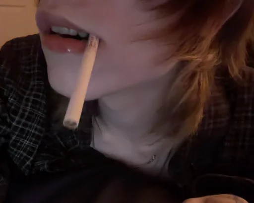 alexander's profile picture