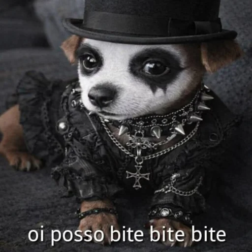 user pfp