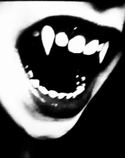 nyxliketrix's profile picture