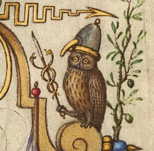 Ludwig Müller's profile picture
