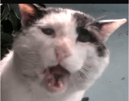 TEOSTRA's profile picture