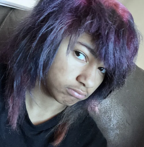 birdmustdiezx's profile picture