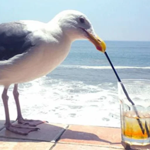 Bird's profile picture