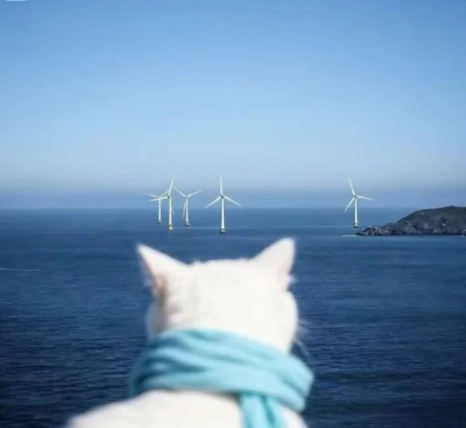 Yuki