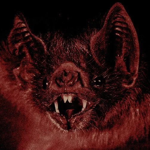 varneyvampyre's profile picture
