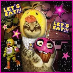 user pfp