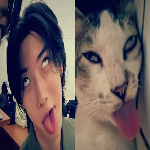 Litledisaster__'s profile picture