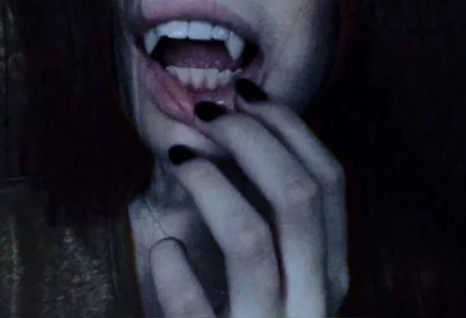 s.c.o.t.t.i.e's profile picture