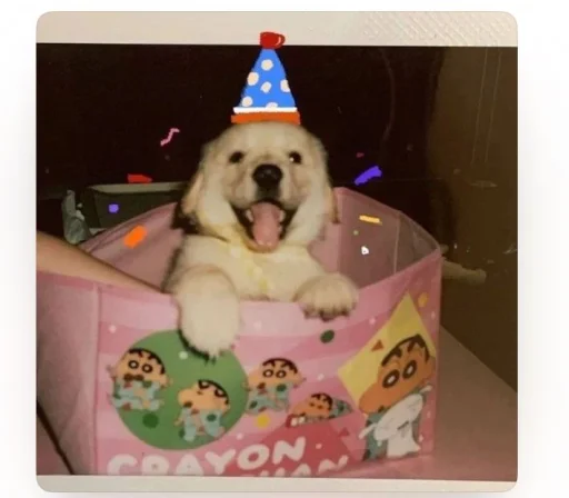 user pfp