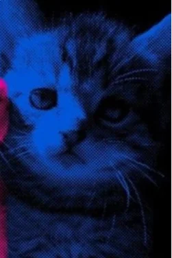 Nxys/ejsrightsock's profile picture