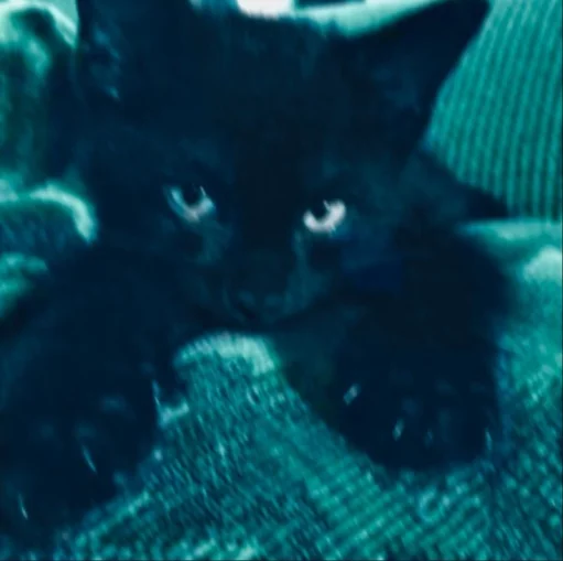 user pfp