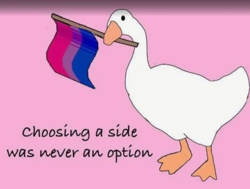 🦆ducklvr🦆🩷💜💙's profile picture