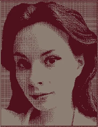 Sorte's profile picture