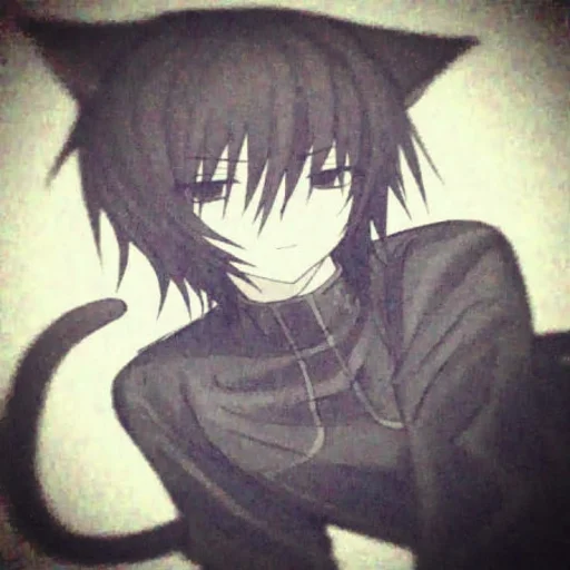 Naoki's profile picture