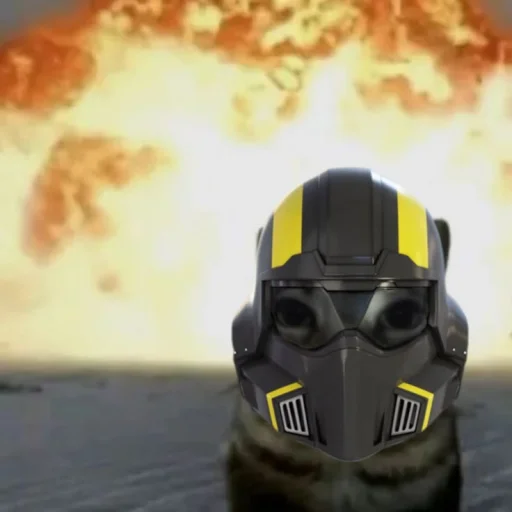 Helldiver Kitty's profile picture