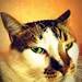 sam's profile picture