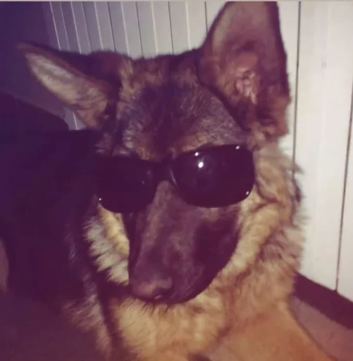 user pfp