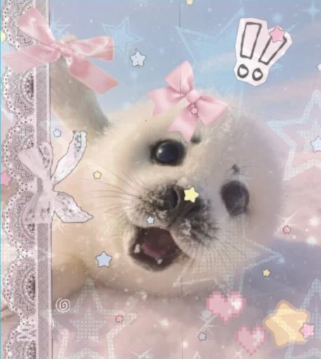 user pfp