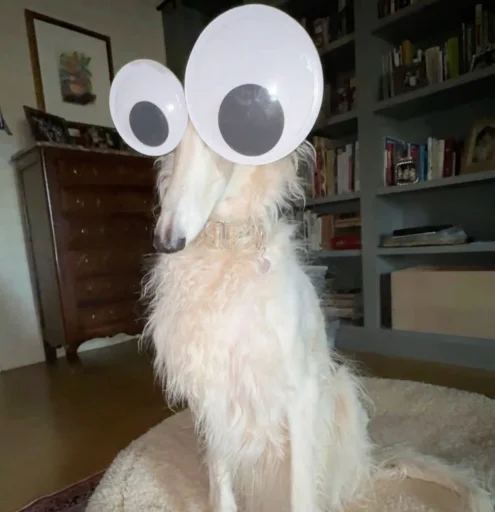 user pfp