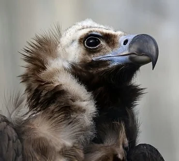 Egris's profile picture
