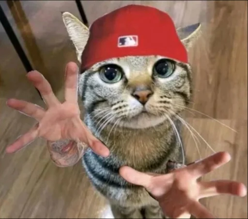 user pfp