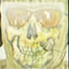 user pfp