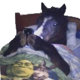 user pfp