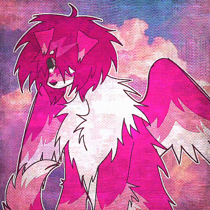 user pfp