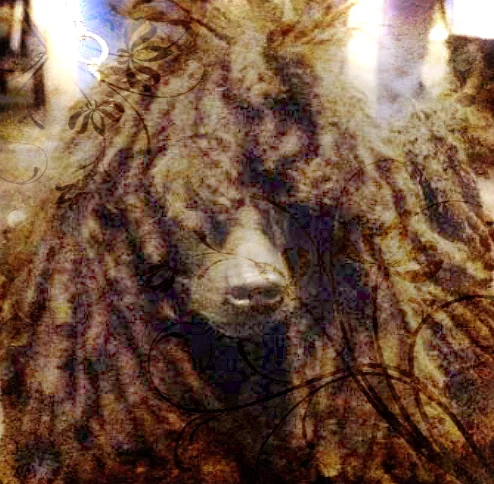 Hyenai's profile picture