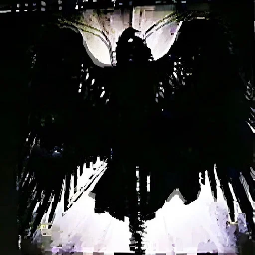 souljahwitch's profile picture