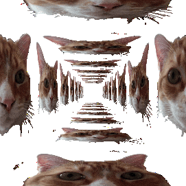 Más o Menos's profile picture