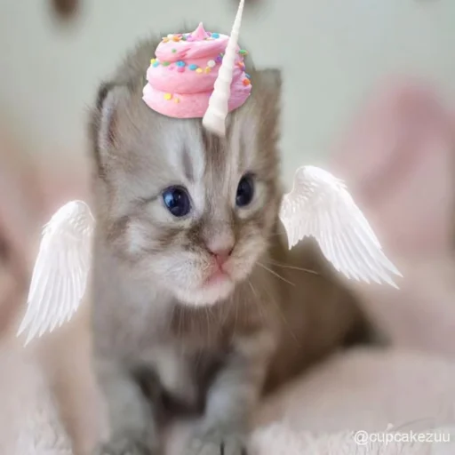 Hattiecat 🐹🍩's profile picture