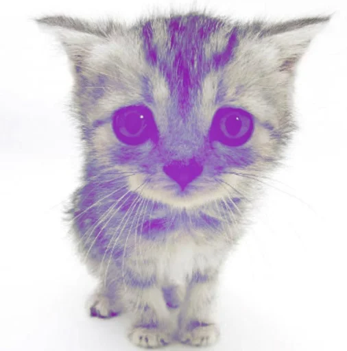 leeh's profile picture