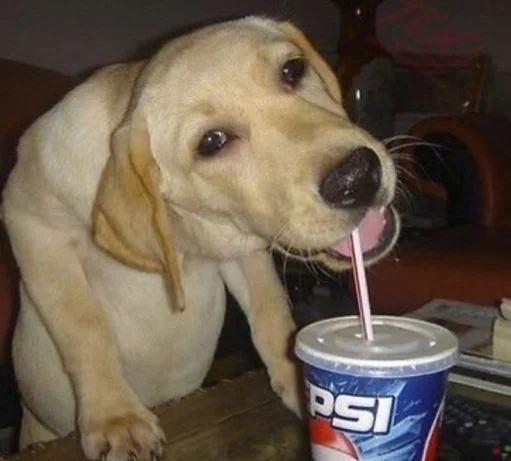 texas!'s profile picture