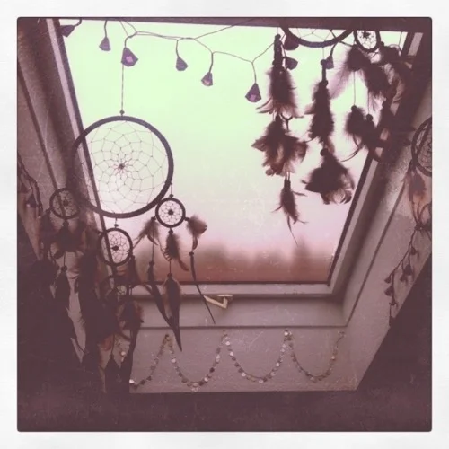 Middle_fog's profile picture