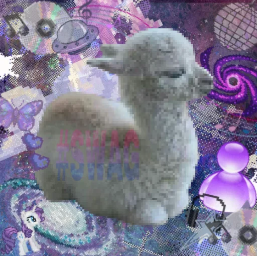 savvluvsllamas__'s profile picture