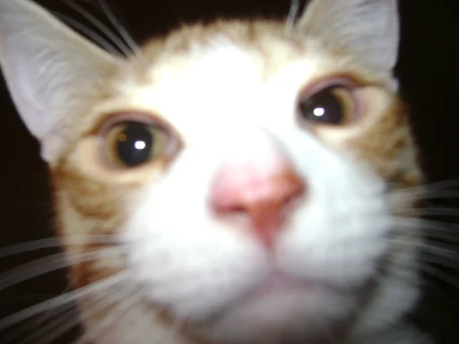 user pfp
