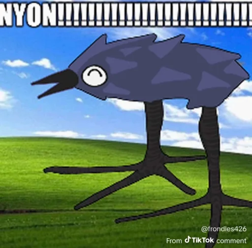 user pfp