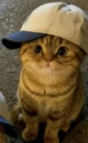 kai [he/him]'s profile picture