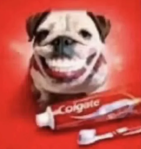user pfp