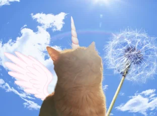 glitterizme