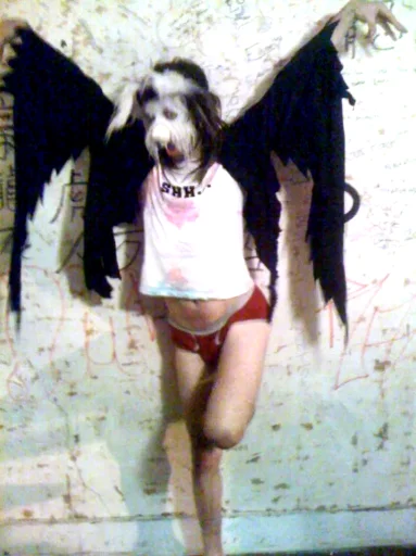 Street Angel's profile picture