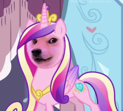 user pfp