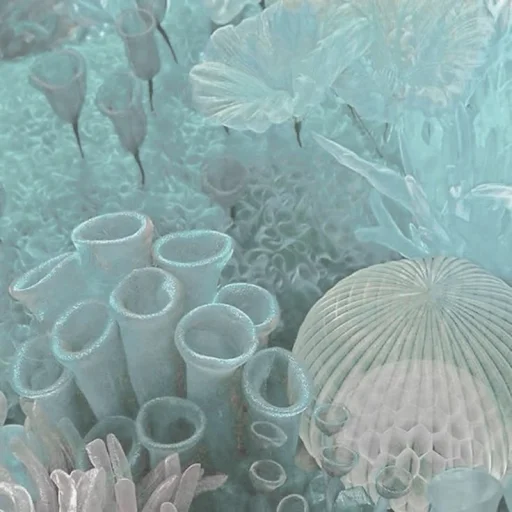𝒢𝓊𝓇𝓉 ˖°𓇼