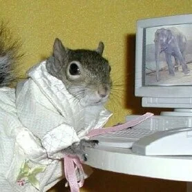Lendmerubles's profile picture