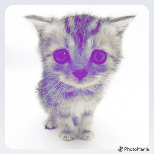 leeh's profile picture