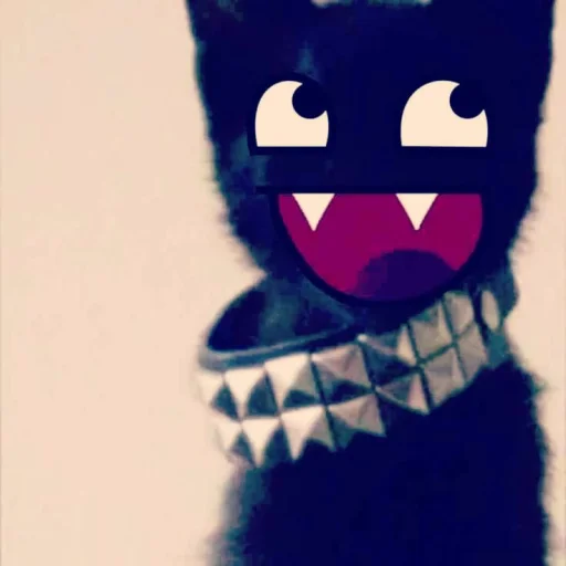 user pfp