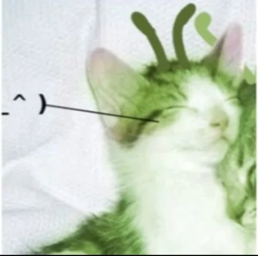 TwinkleTal's profile picture