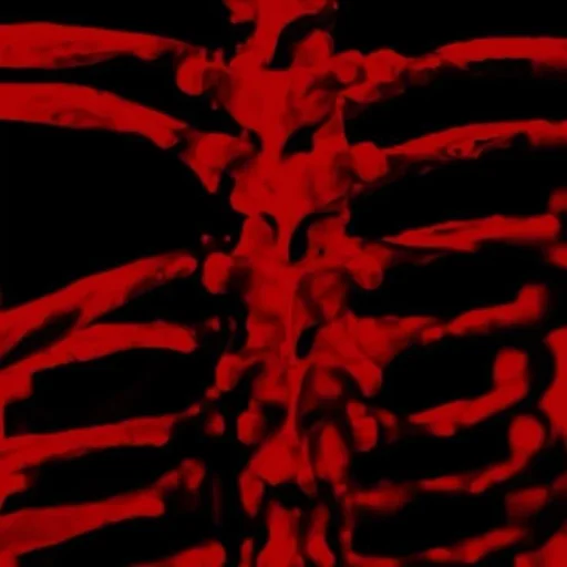 Xx_Sunny_xX